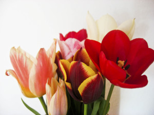 flowers